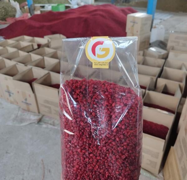 عکس زرشک مشهد