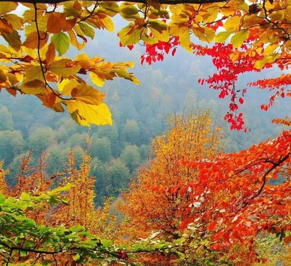 عکس طبیعت رویایی پاییز