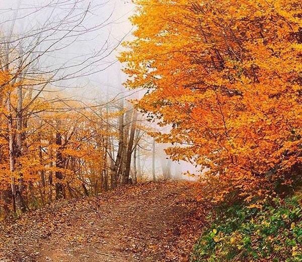 عکس طبیعت رویایی پاییز
