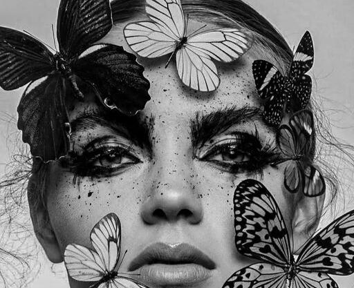 عکس پروانه های زیبا برای نقاشی