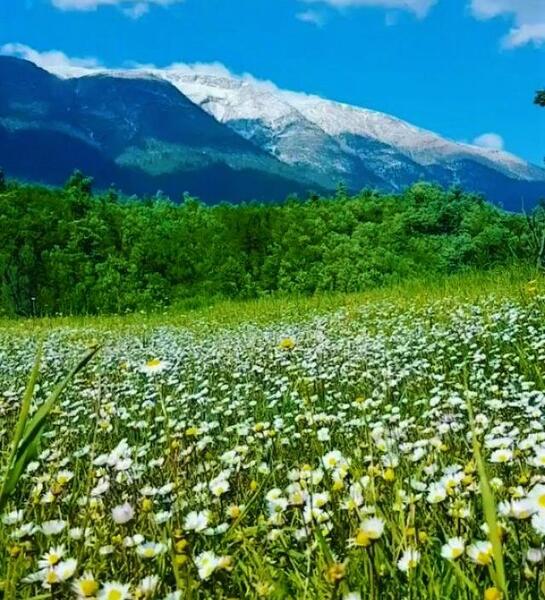 عکس جاهای دیدنی گیلان و مازندران