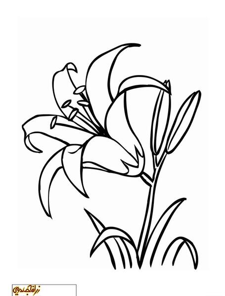 عکس نقاشی گل کودکان