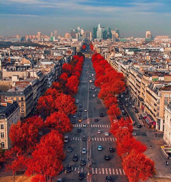 عکس پاییز فرانسه