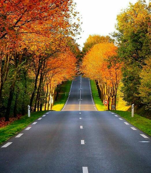 عکس پاییز فرانسه