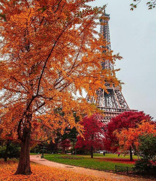 عکس پاییز فرانسه