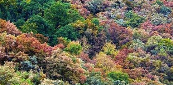 عکس پاییز فرانسه