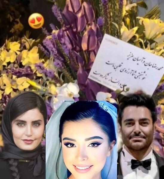 عکس عروسی الناز شاکردوست