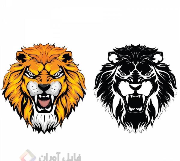 عکس بچه شیر سلطان جنگل