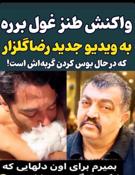 عکس نوشته محمد رضا گلزار