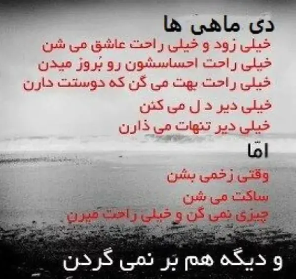 عکس یه دی ماهی