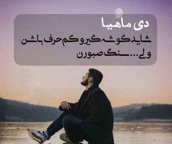 عکس یه دی ماهی