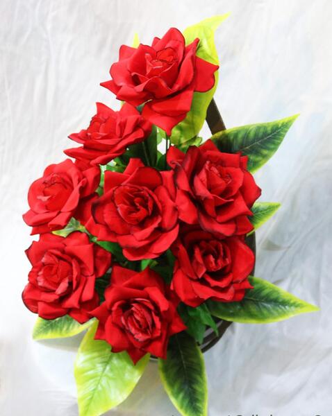 عکس گل طبیعی عاشقانه