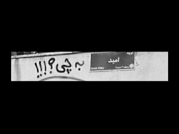 عکس دپ ویسگون