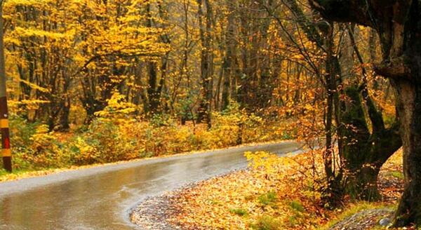 عکس طبیعت زیبای گلستان