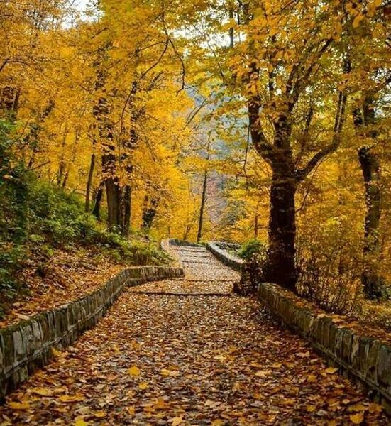 عکس طبیعت زیبای گلستان