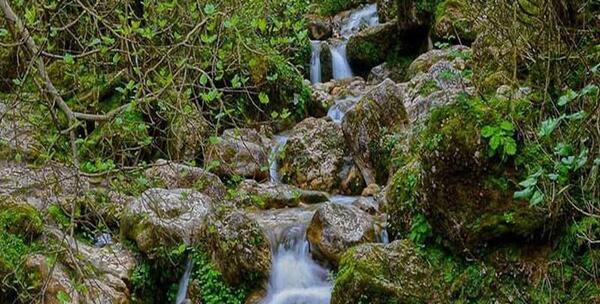 عکس طبیعت زیبای گلستان