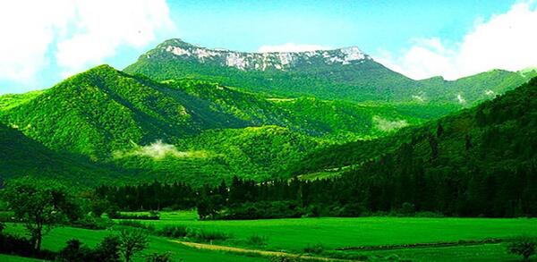 عکس طبیعت زیبای گلستان