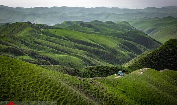 عکس طبیعت زیبای گلستان