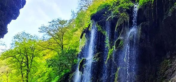عکس طبیعت زیبای گلستان