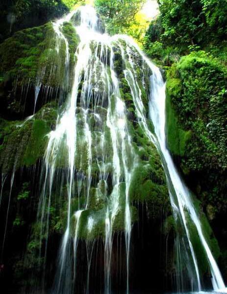 عکس طبیعت زیبای گلستان
