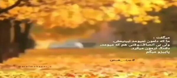عکس استوری پاییز میرسد که مرا مبتلا کند