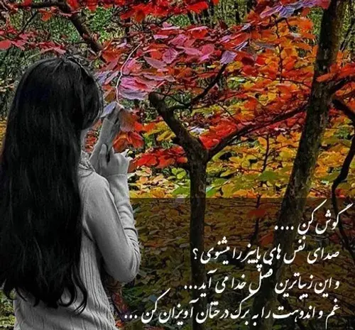 عکس استوری پاییز میرسد که مرا مبتلا کند