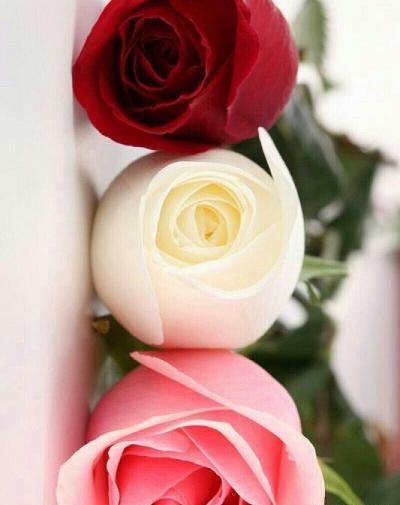 عکس عید روزه