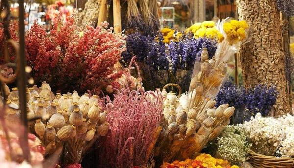 عکس گل طبیعی تزیین شده