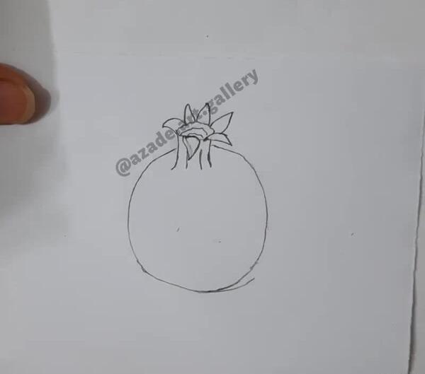 عکس نقاشی ساده انار