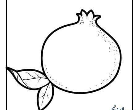 عکس نقاشی ساده انار