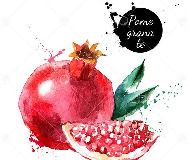 عکس نقاشی ساده انار