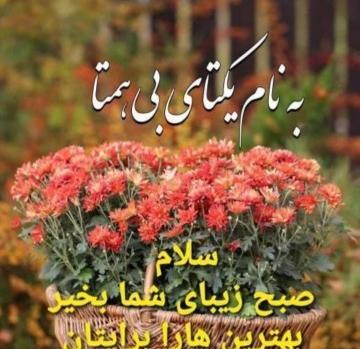 عکس نوشته سلام اول هفتتون بخیر