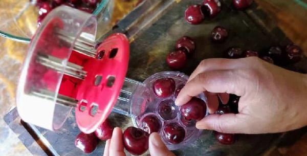 عکس از لواشک آلبالو
