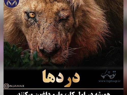 عکس در مورد قوی بودن