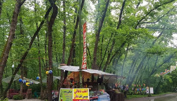 عکس جاده جنگلی گیسوم
