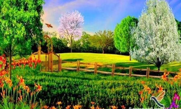 عکس طبیعت زیبای تابستانی