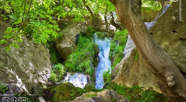 عکس طبیعت زیبای تابستانی