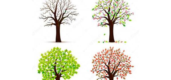 عکس وکتور چهار فصل