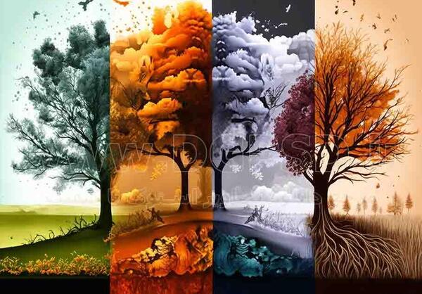 عکس وکتور چهار فصل