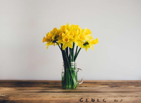عکس گل زیبای نرگس
