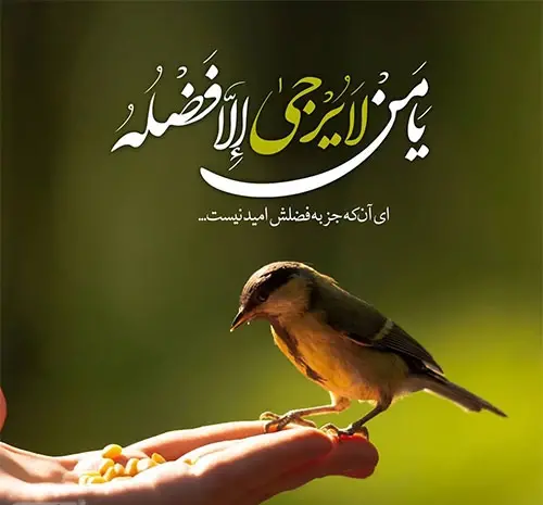 عکس نوشته بک یا الله