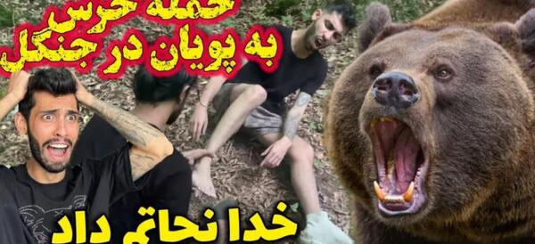 عکس خرس واقعی ترسناک