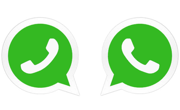 عکس قورباغه واتساپ