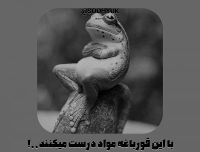 عکس قورباغه واتساپ