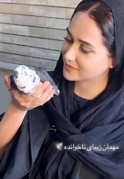 عکس سگ پریناز ایزدیار