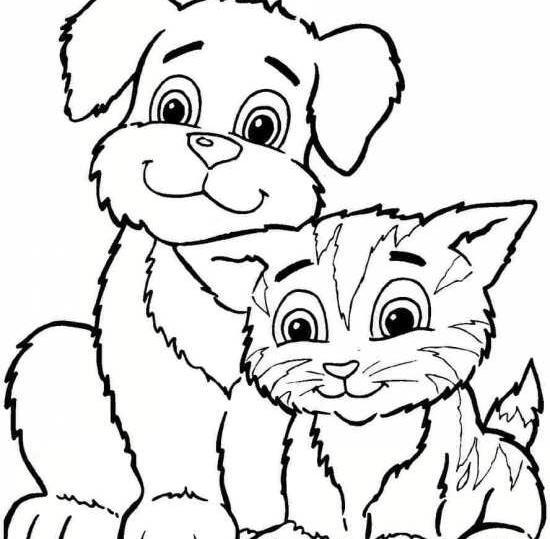 عکس نقاشی از حیوانات