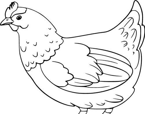 عکس نقاشی از حیوانات