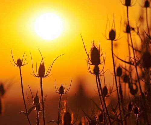 عکس غروب پاییزی زیبا