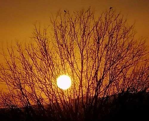 عکس غروب پاییزی زیبا