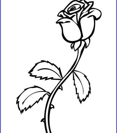 عکس نقاشی گل رز آسان